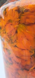 huile au calendula
