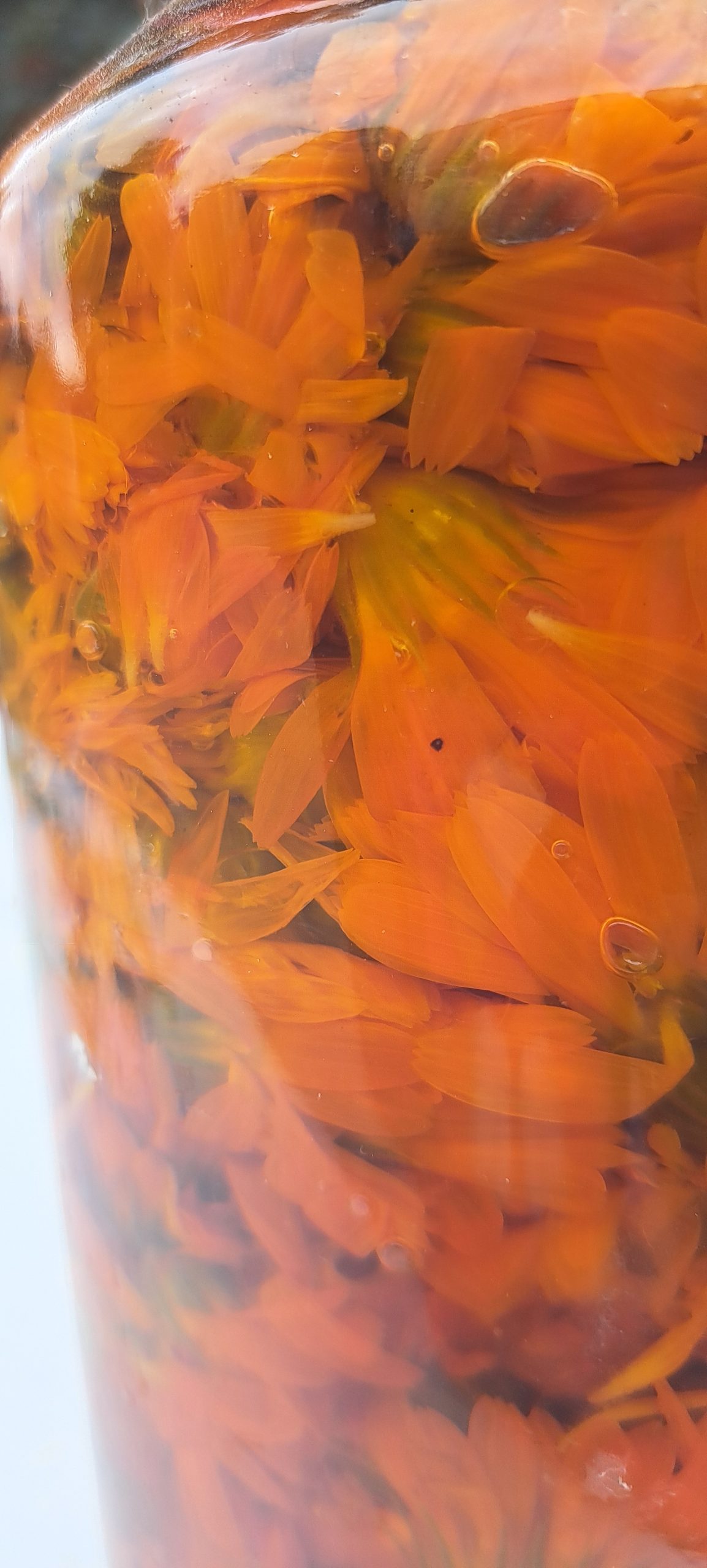 huile au calendula